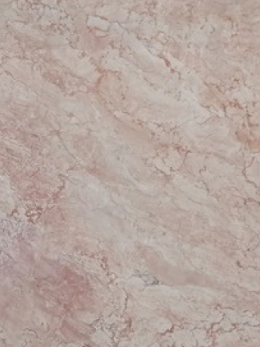 Cream Rose