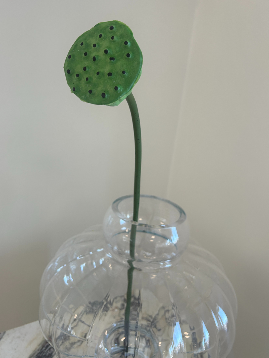 Lotus Seedpod