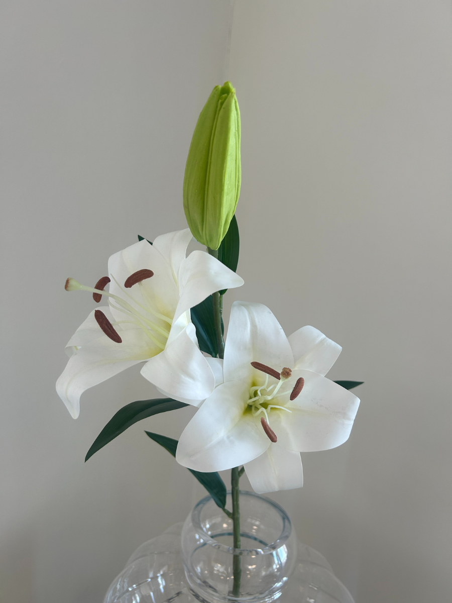 White Large Lily Flower