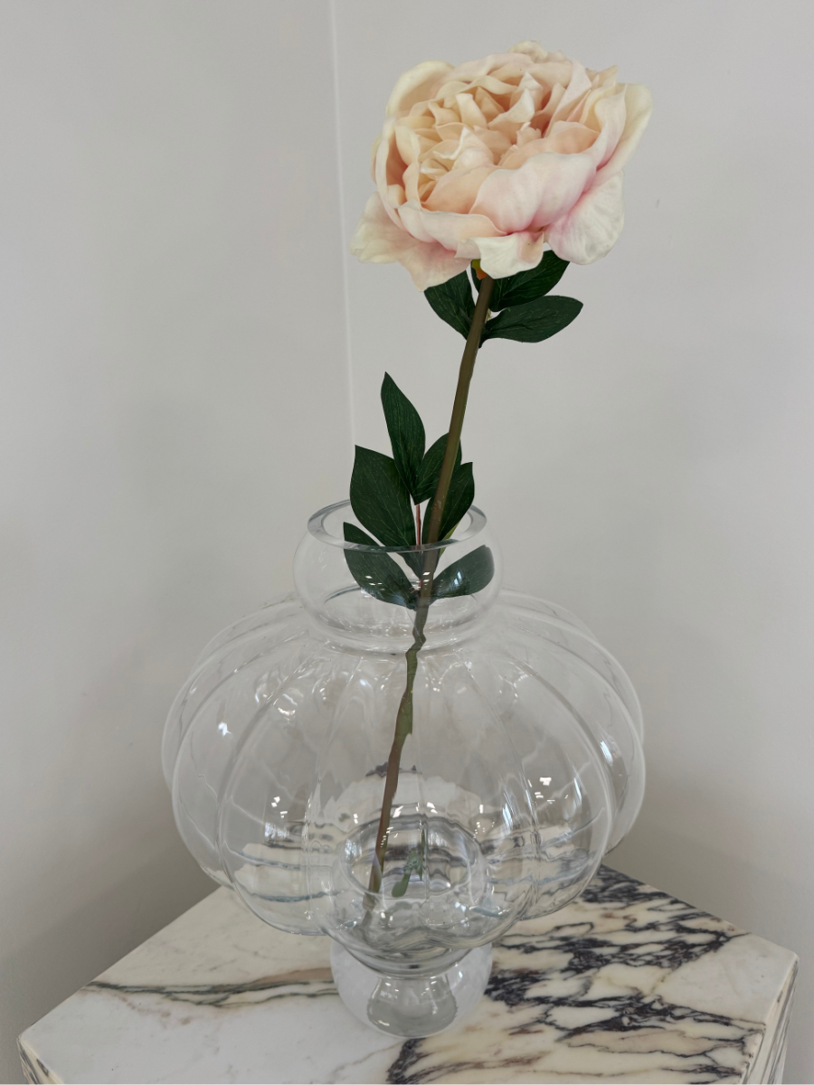 Light Pink Large Peony Flower