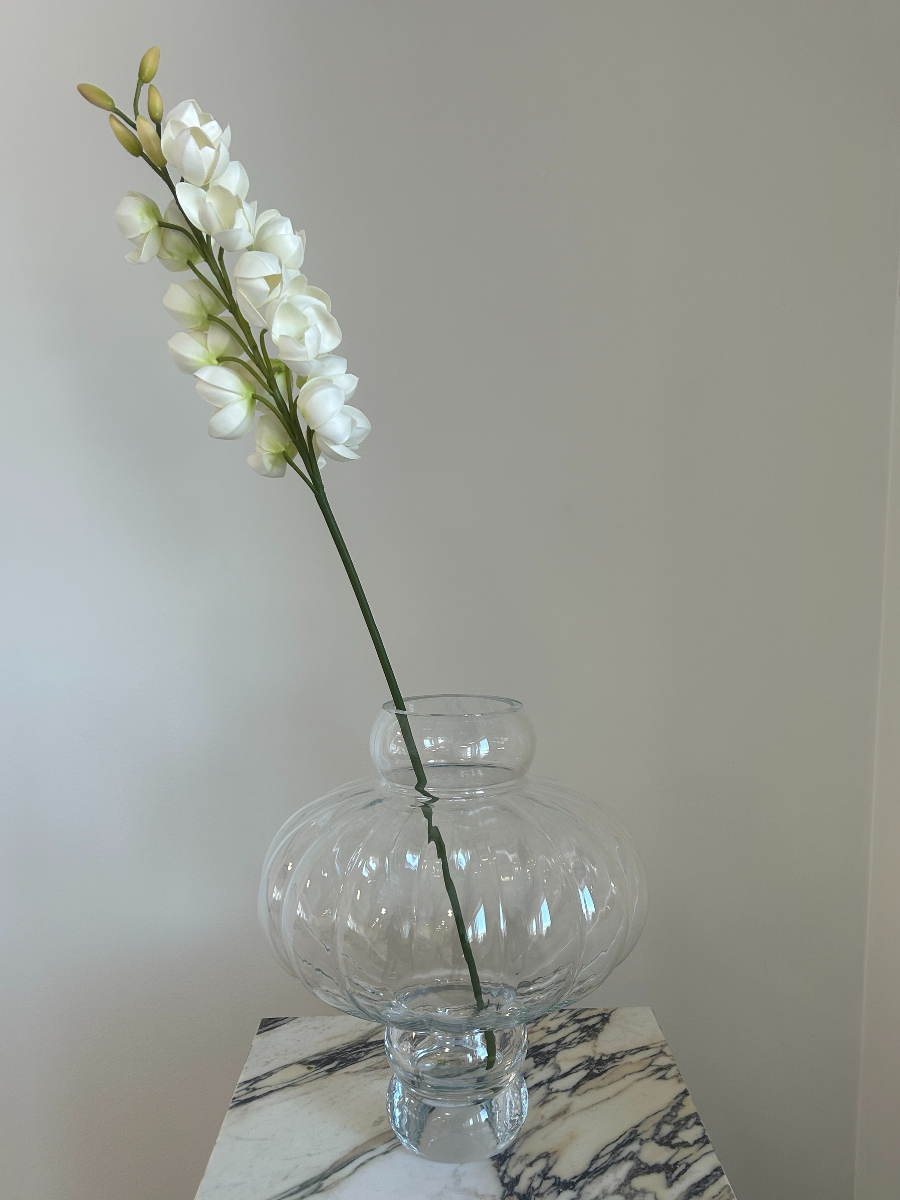 Yucca Gloriosa