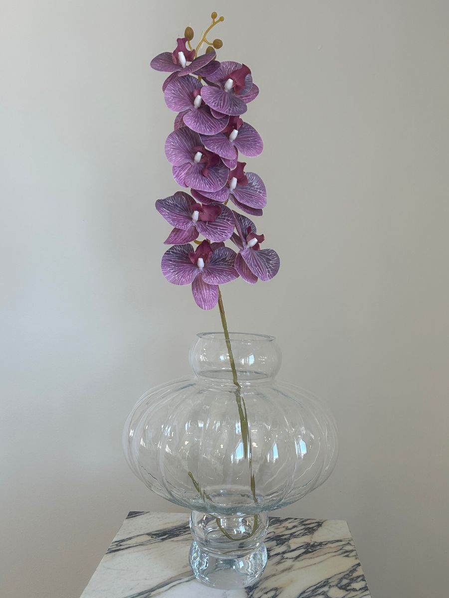 Light Purple Orchid