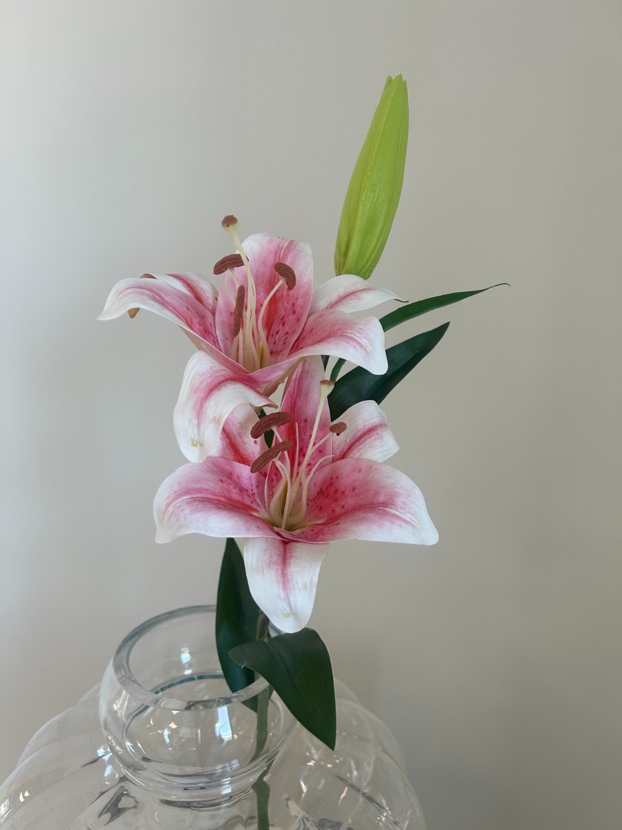 Pink Large Lily Flower