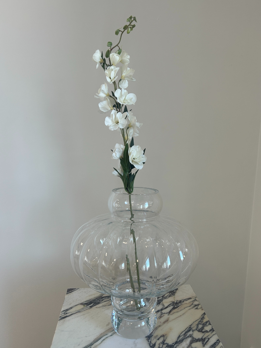 White Delphinium
