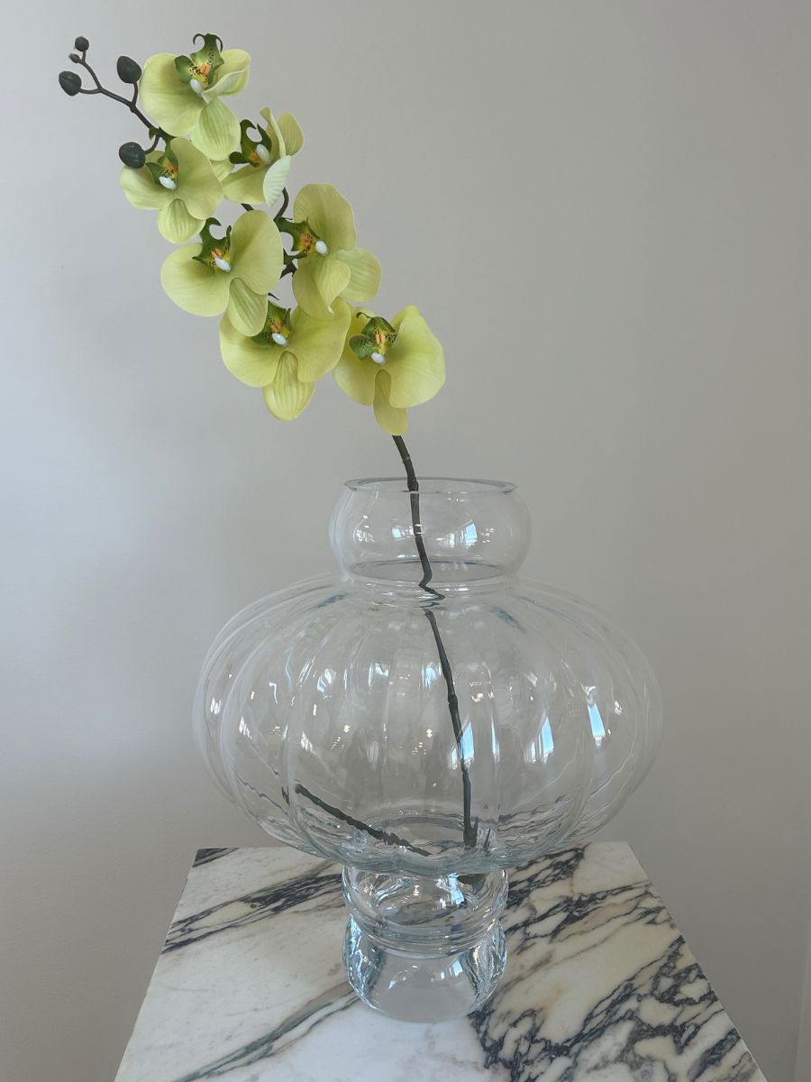 Light Green Orchid