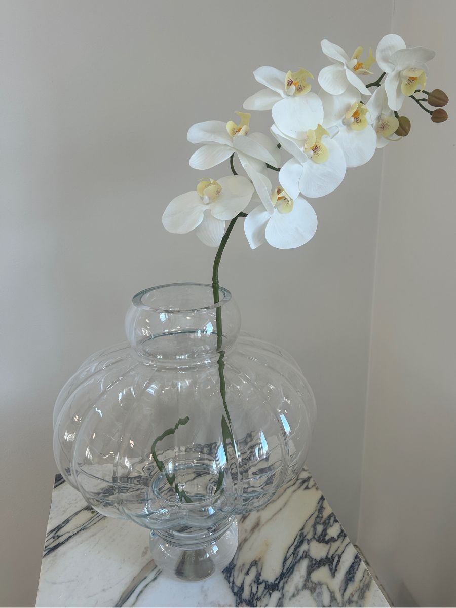 White Orchid