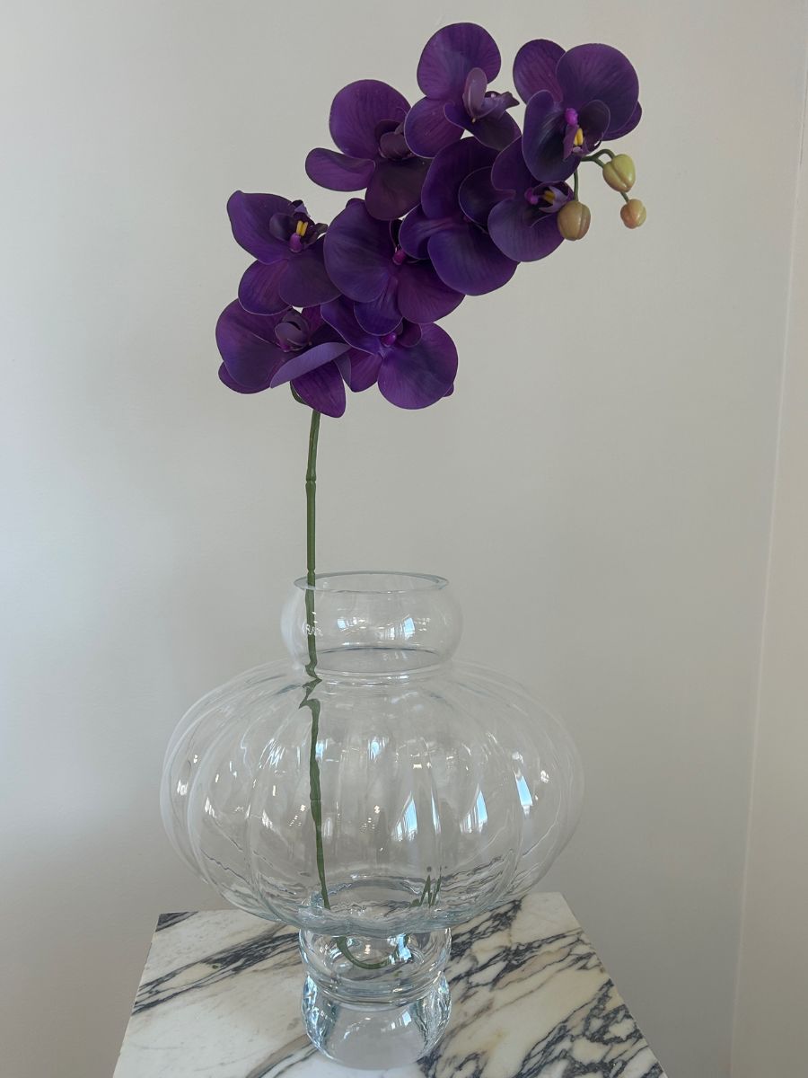 Purple Orchid