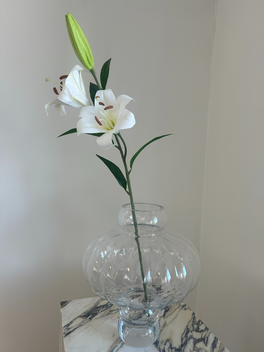 White Large Lily Flower