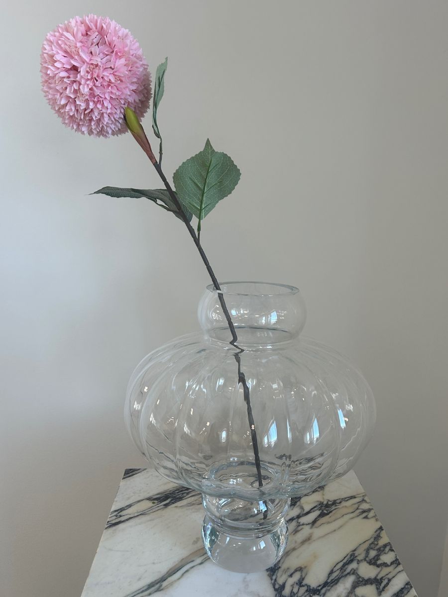 Pink Allium Azureum