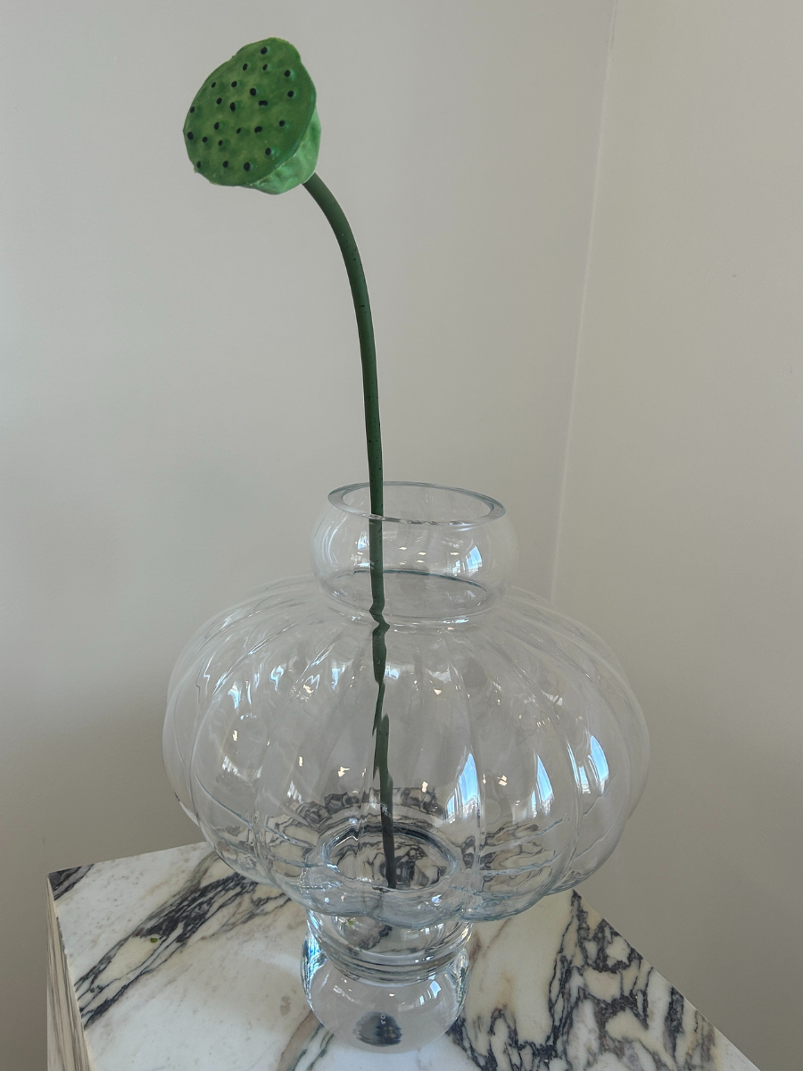 Lotus Seedpod