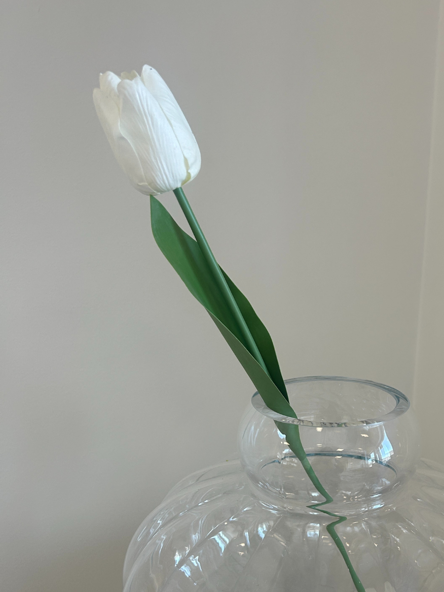 White Tulip