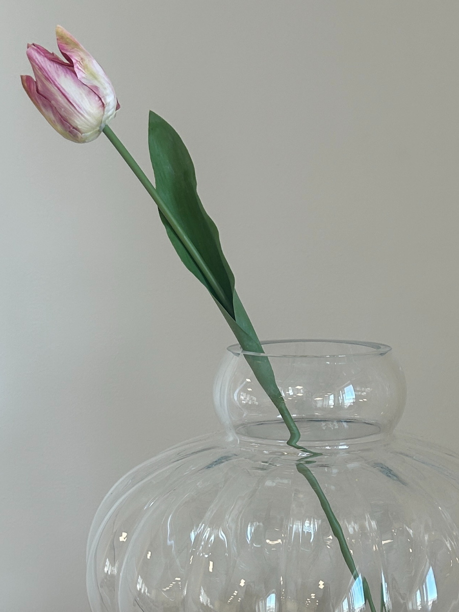 Dusty Pink Tulip