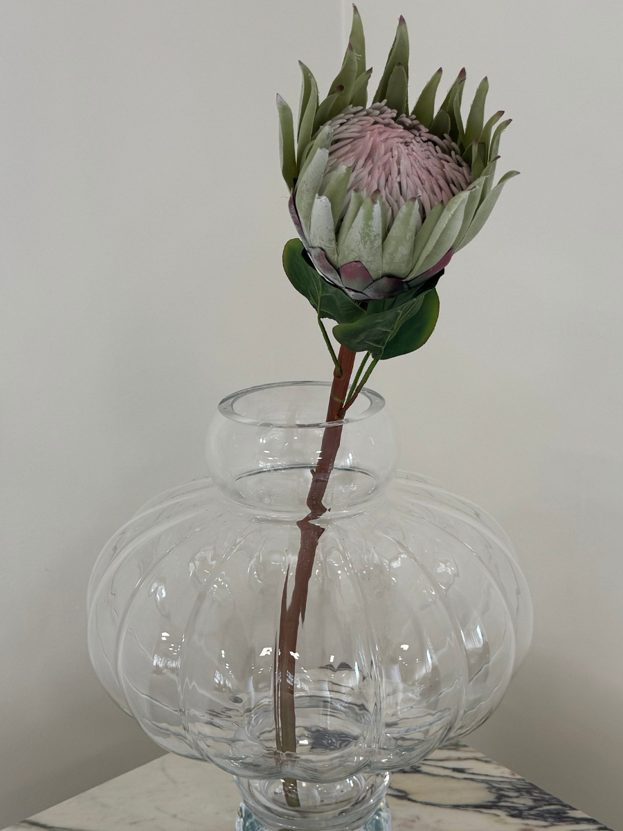 Green Protea Flower