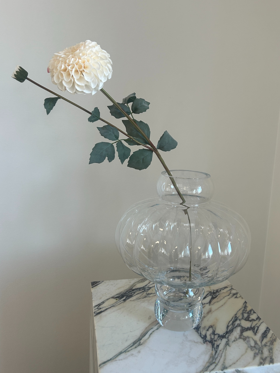 White Pompon Dahlia