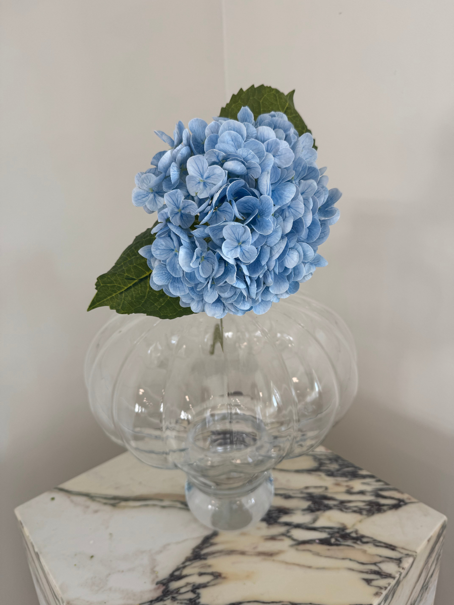 Hydrangea Flower Light Blue