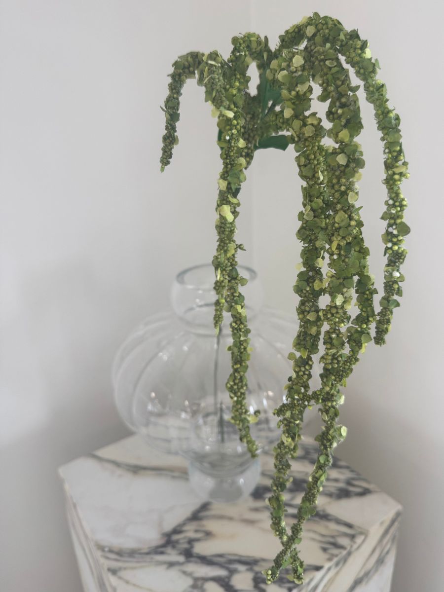 Green Amaranthus