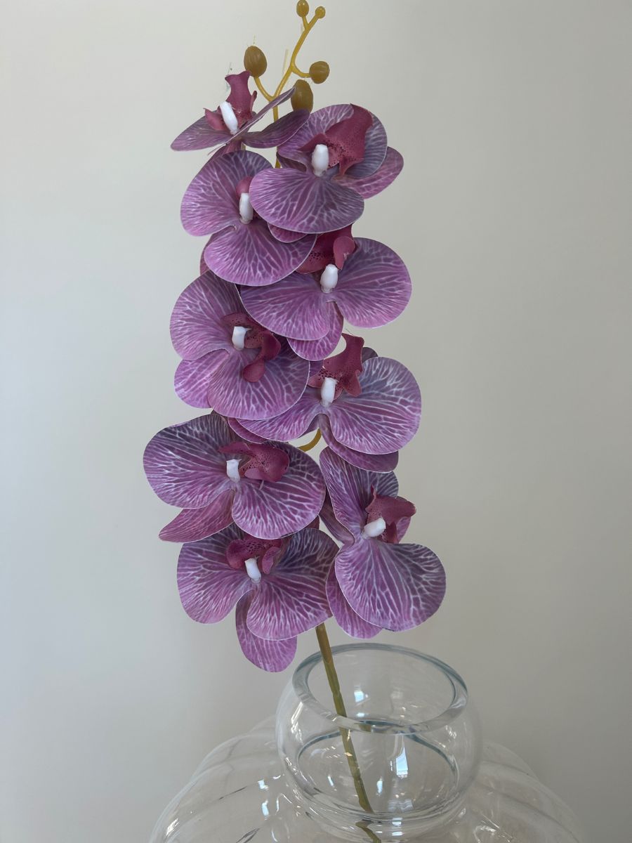 Light Purple Orchid