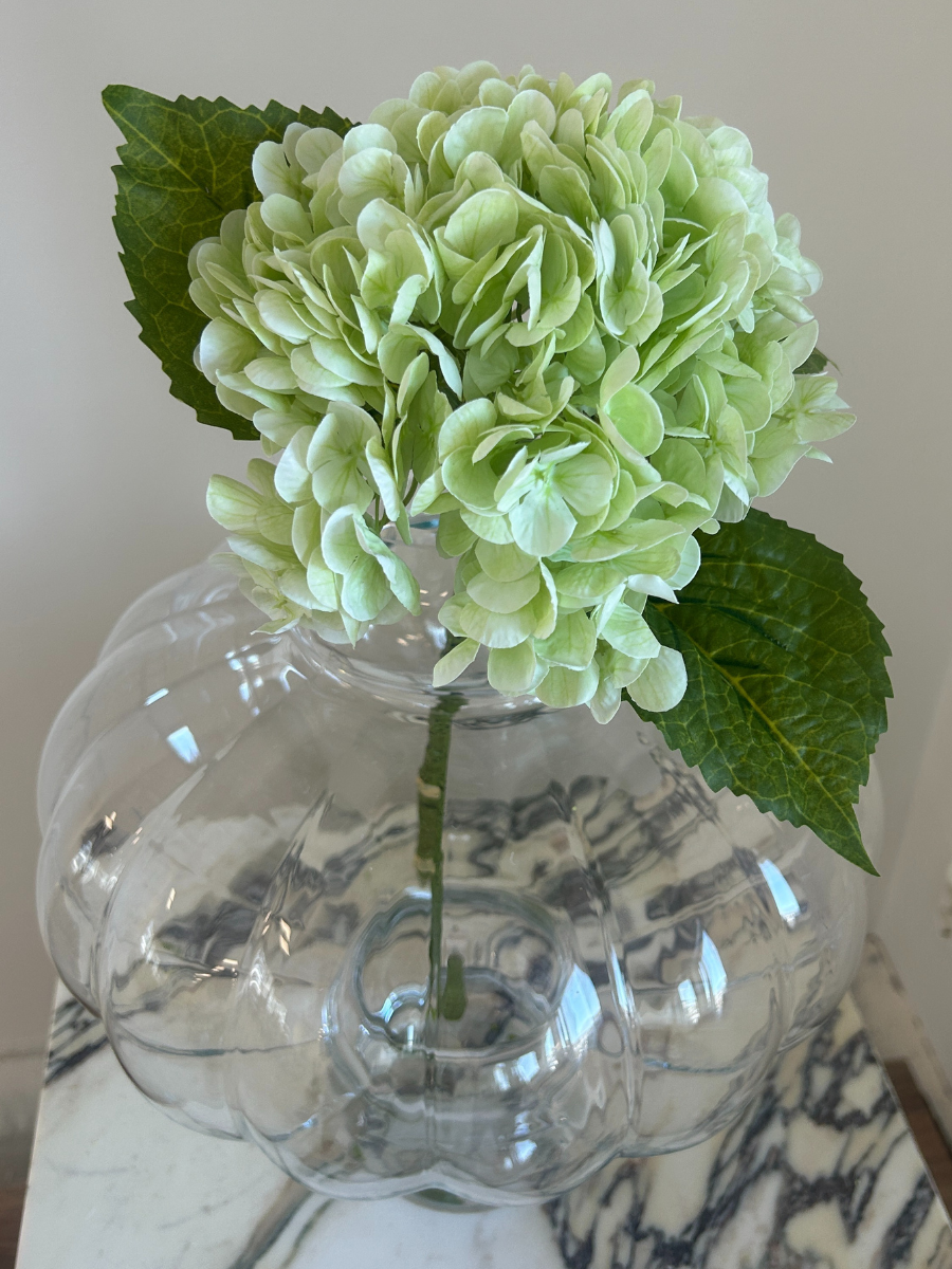 Hydrangea Flower Light Green