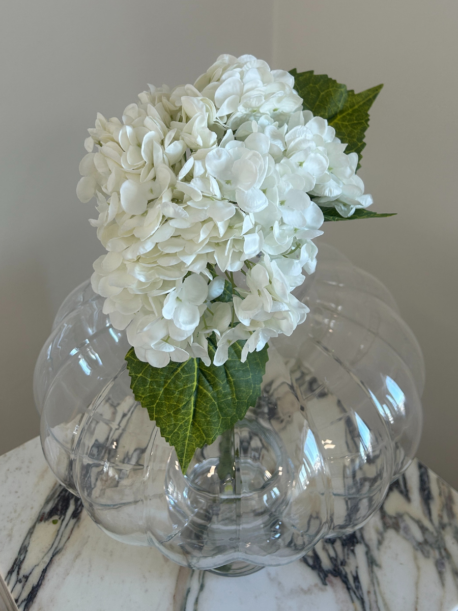 Hydrangea Flower White