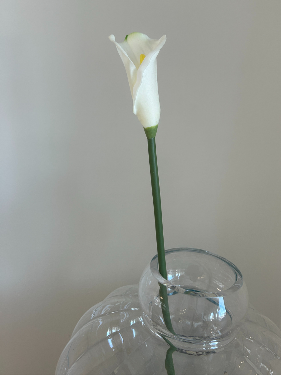 Calla Lily Flower White