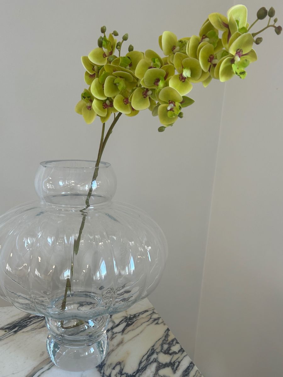 Spring mix Orchid