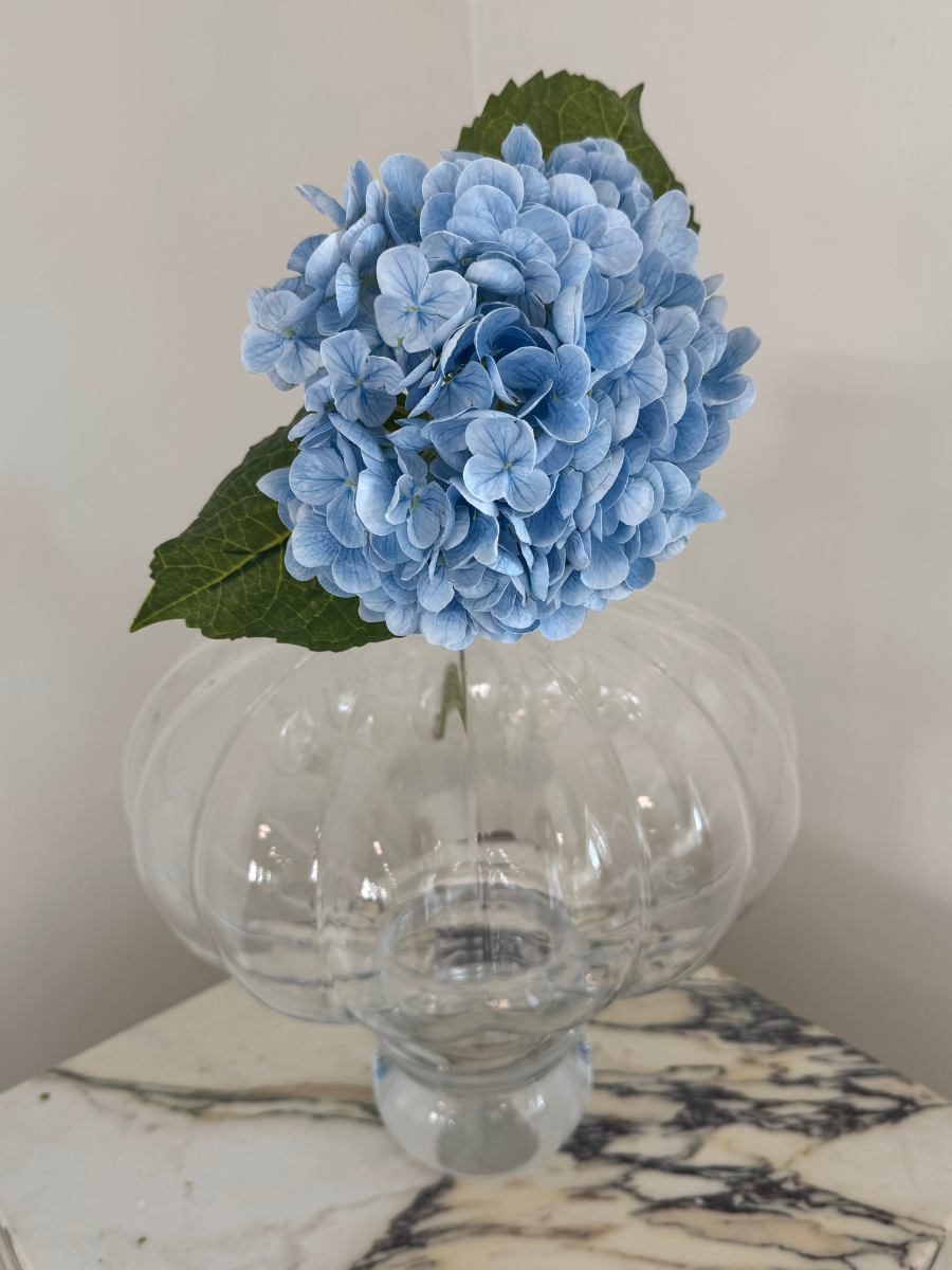 Hydrangea Flower Light Blue