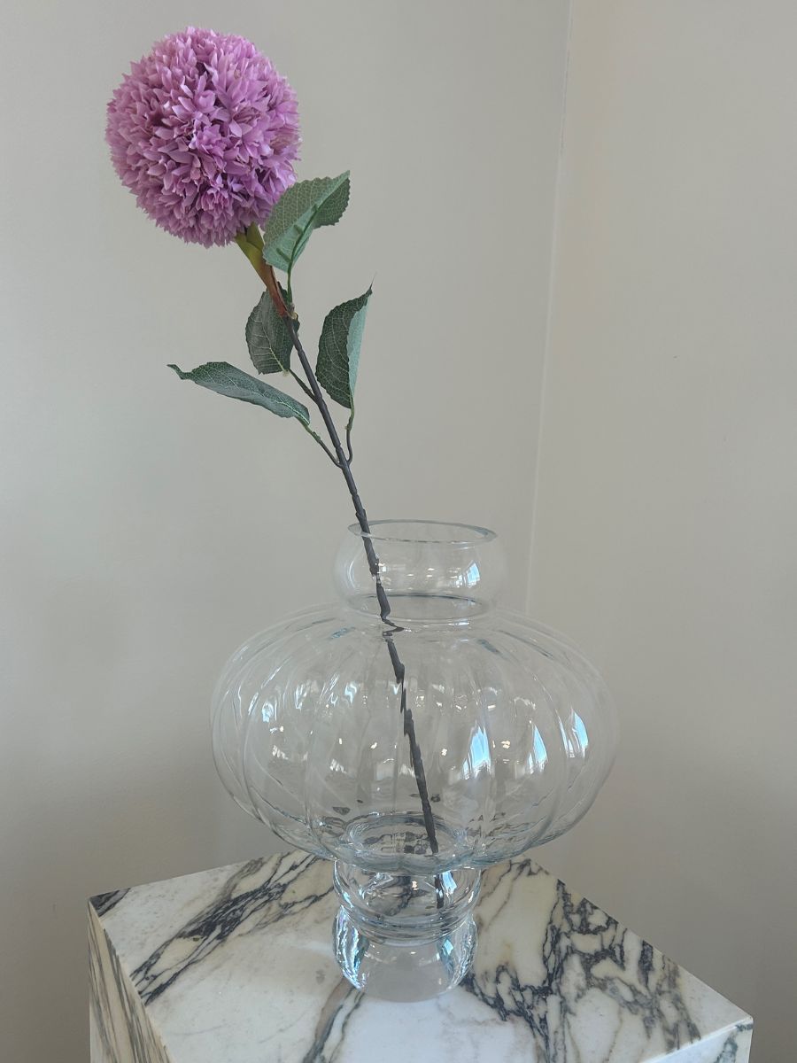 Purple Allium Azureum