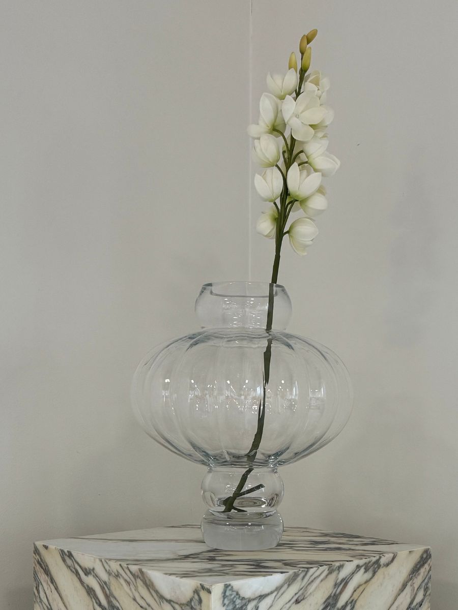 Yucca Gloriosa