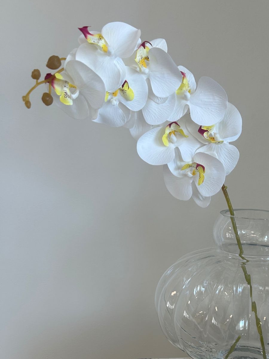 White Mix Orchid