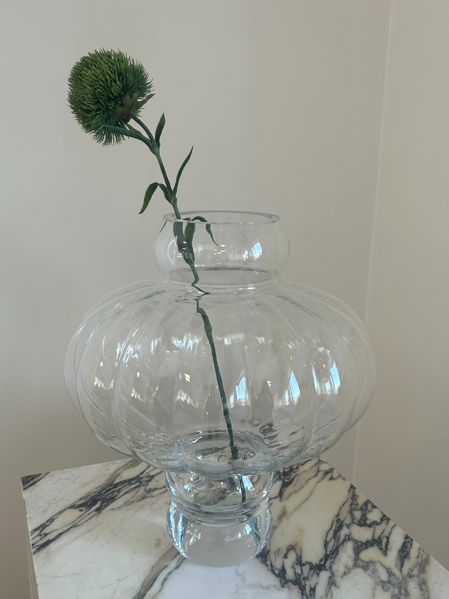 Dark Green Dianthus Barbatus "Green Ball"