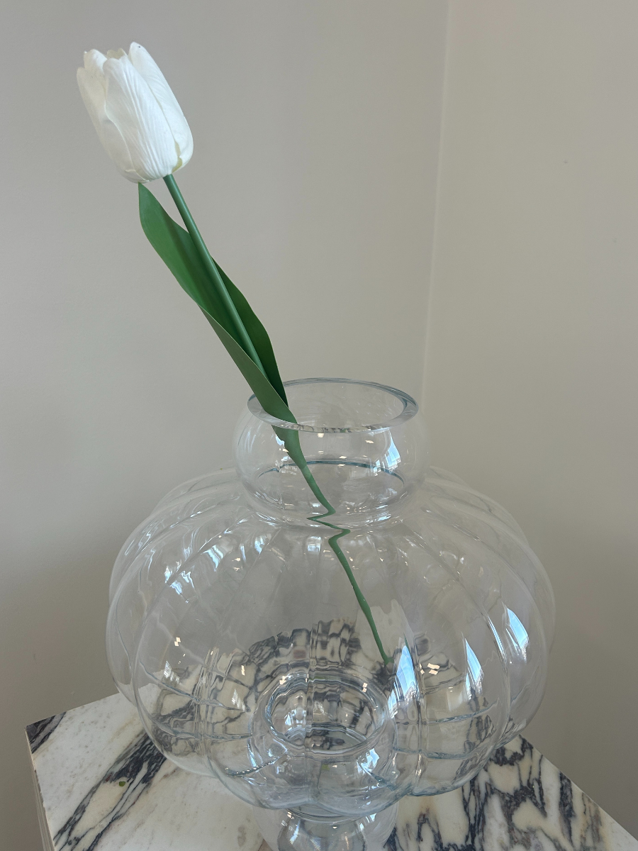 White Tulip