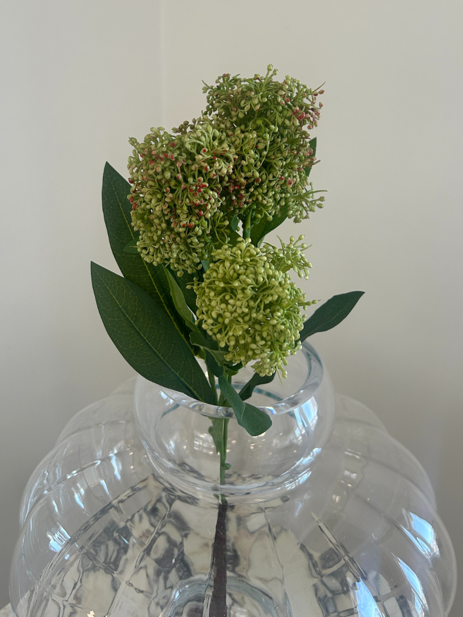 Green Skimmia Berry Branch