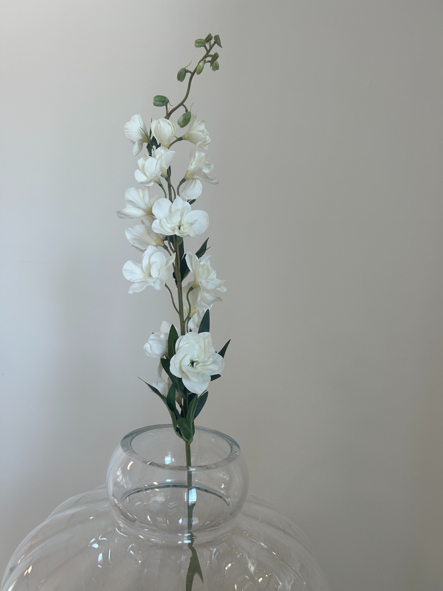 White Delphinium
