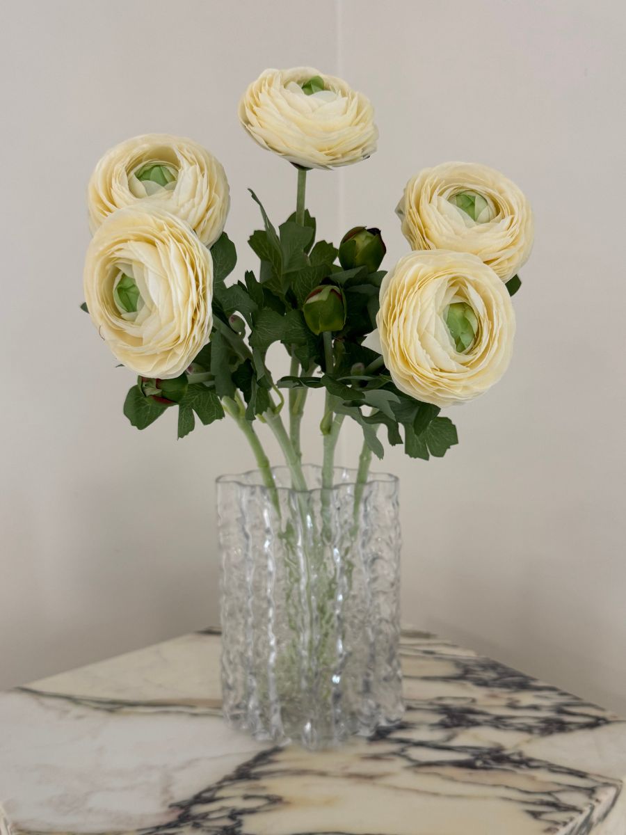 Ranunculus Flower White Bouquet
